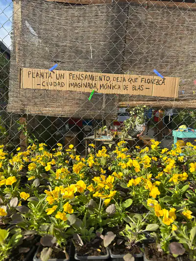 «Planta un pensamiento, deja que florezca»: el cartel en el Huerto del Mar
